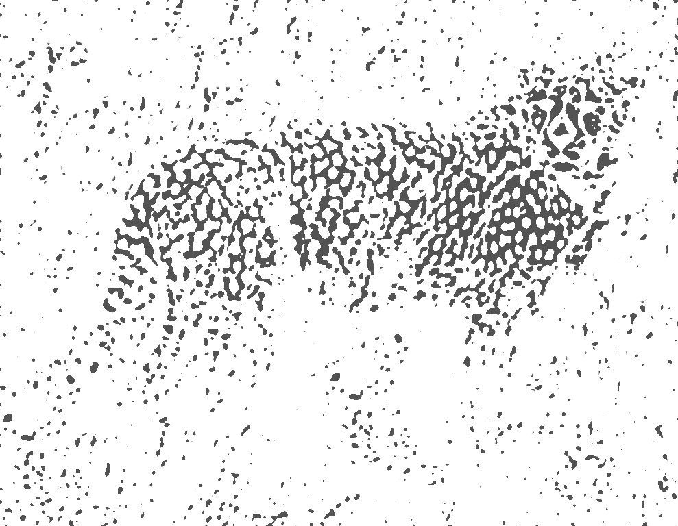 Формализация задачи об эмерджентности
