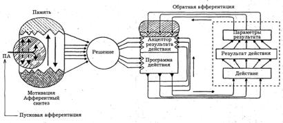 ТФС
