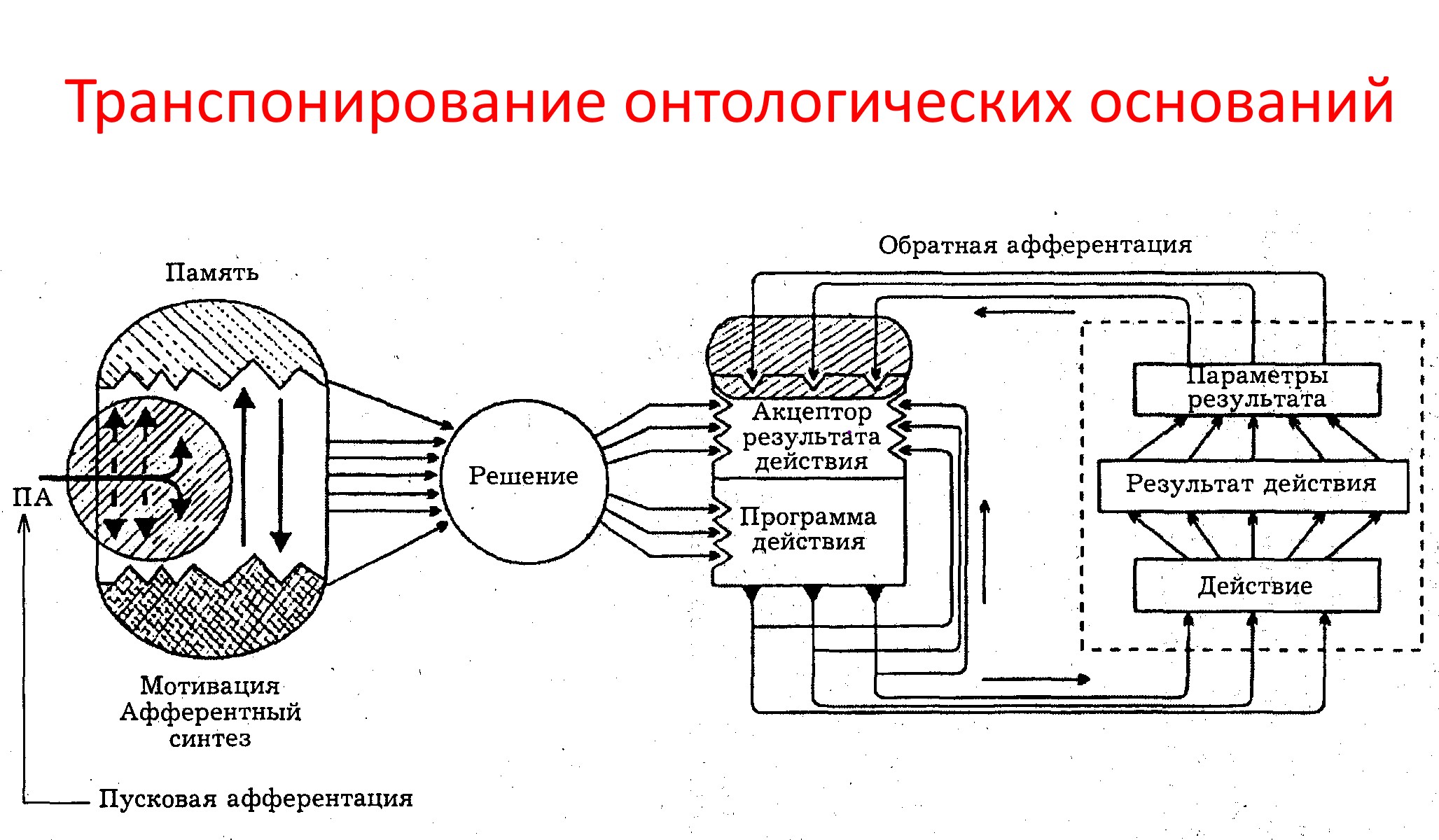 Транспонирование онтологических оснований: от объект-центричности к действие-центричности